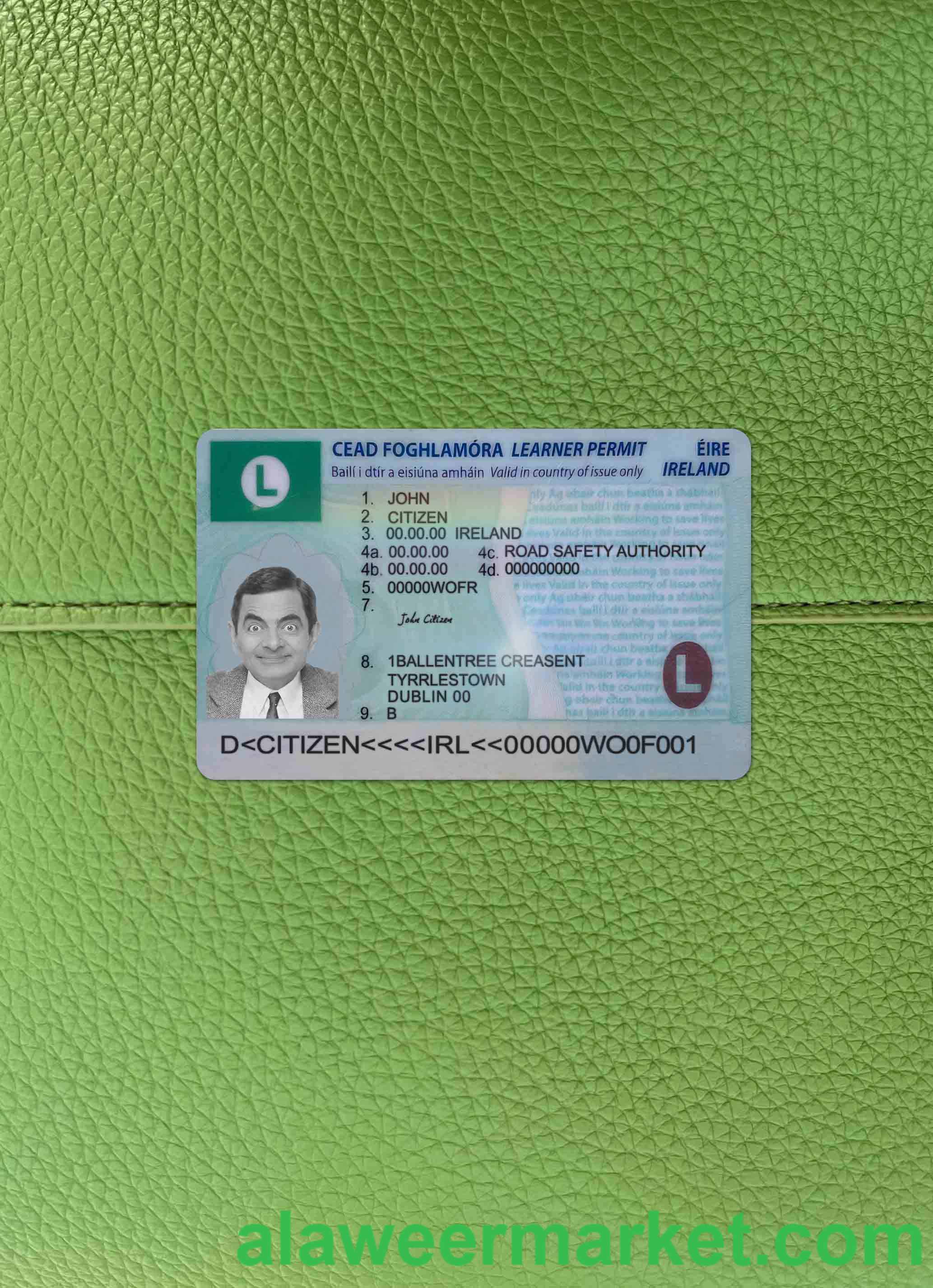 Ireland driving license (learner permit) 2022- present photolook FRONT